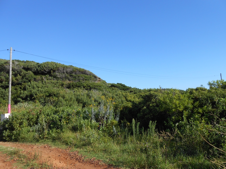 0 Bedroom Property for Sale in Oyster Bay Eastern Cape